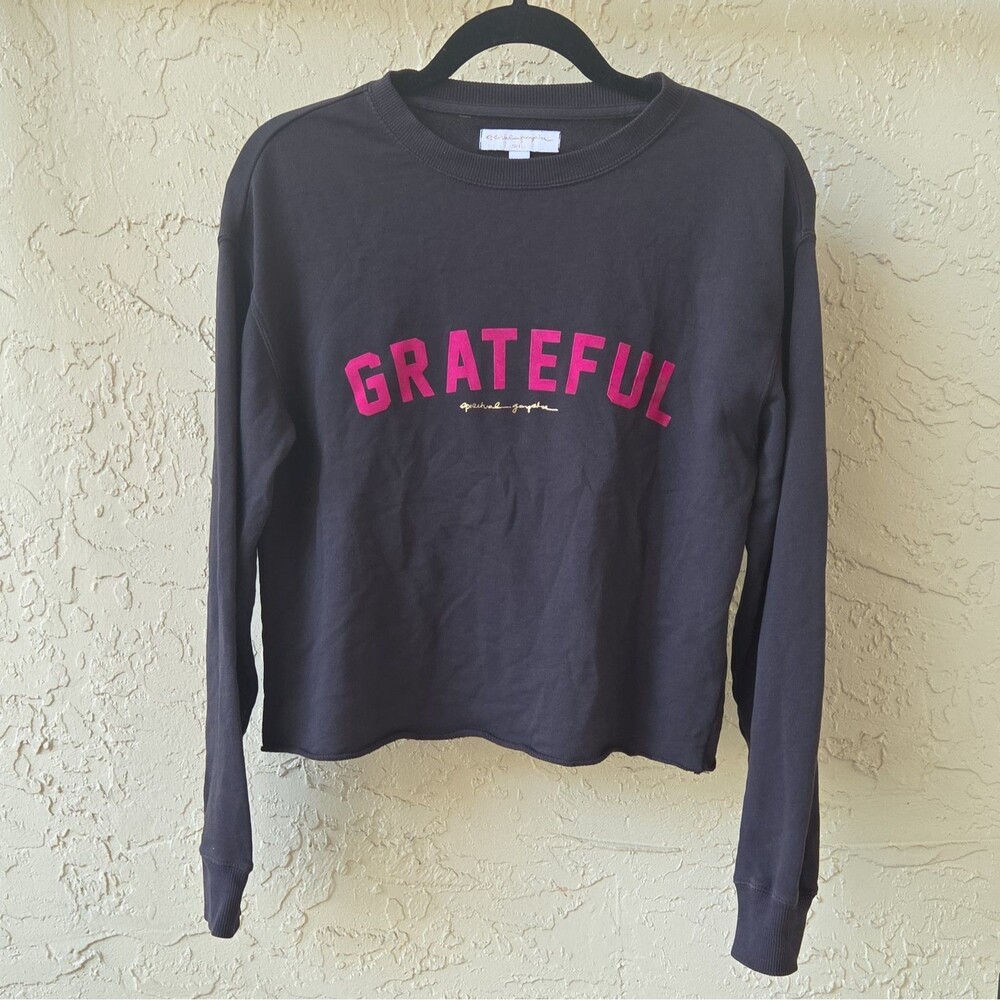 Spiritual Gangster Grateful Pullover Crop Sweatshirt XS Raw Hem Boxy Grey